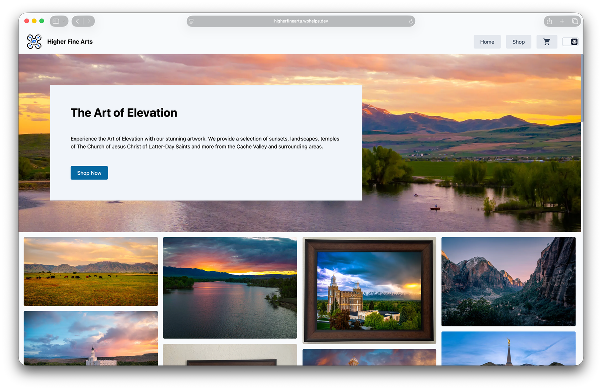 The homepage of Higher Fine Arts